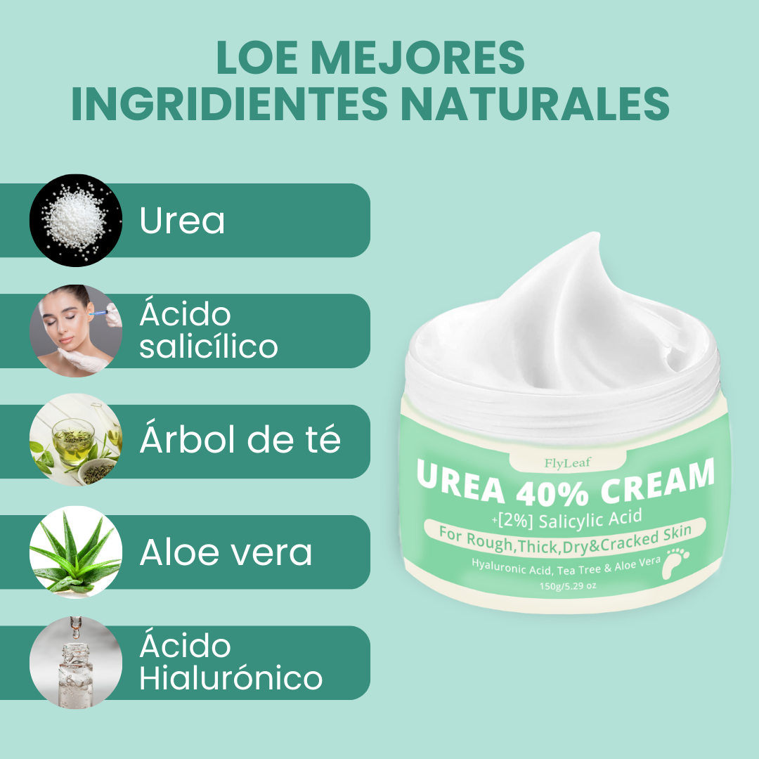 Encabezado