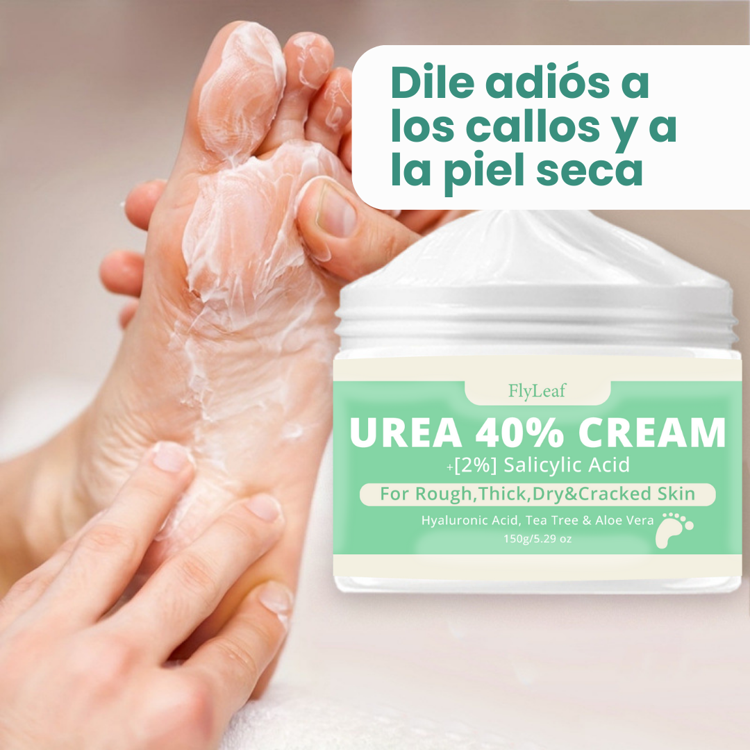 Encabezado