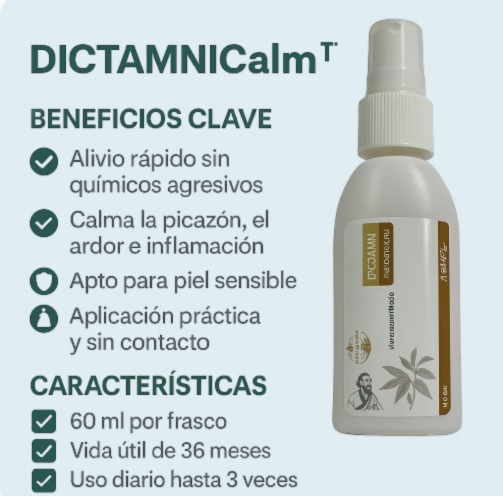 Encabezado