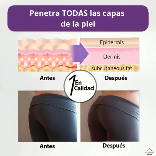 Encabezado