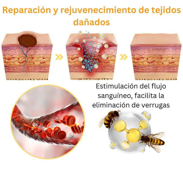 Tag Recede™ | Corrector de Imperfecciones Cutáneas🌿